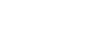 Festival della Robotica